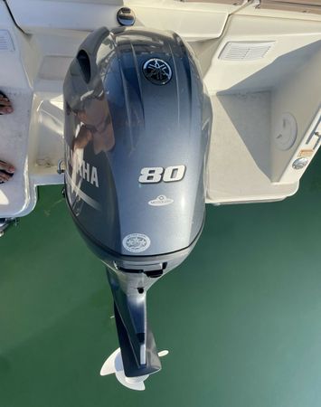 Quicksilver 505 | Strauss