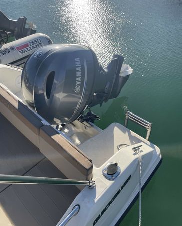 Quicksilver 505 | Strauss