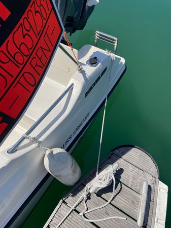 Quicksilver 505 | Strauss