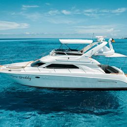 Sea Ray 50 | Sea Daddy