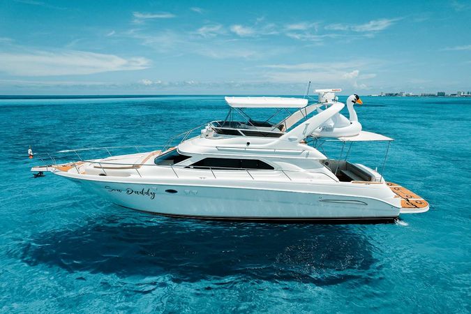 Sea Ray 50 | Sea Daddy