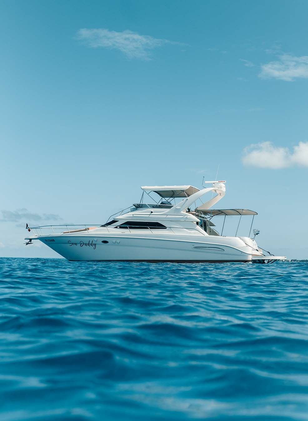 Sea Ray 50 | Sea Daddy