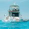 Sea Ray 52 | Sea Mami