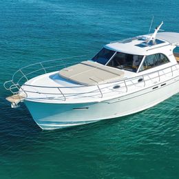 SAS Vektor Adriana 44 | 22