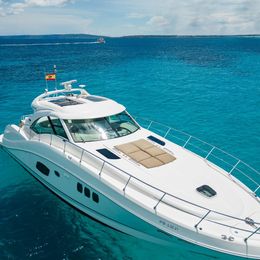 Sea Ray 55 | Il Consigliere