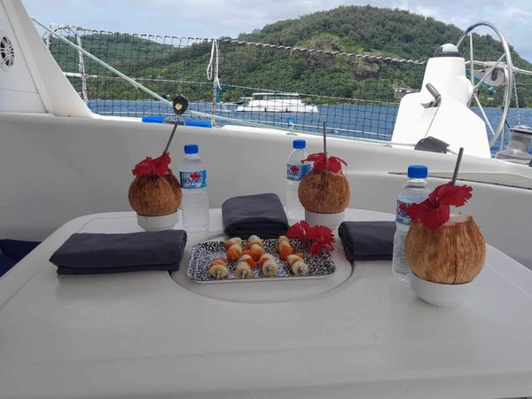 Nautitech 40 | Wakame