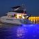 Fairline Squadron 59 | Euforia
