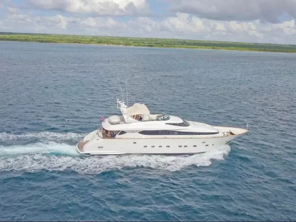 Maiora 100 | My Fidel