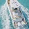Pronautica 880 Sport Open | Evinrude
