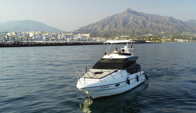 Sealine S330 | Project X