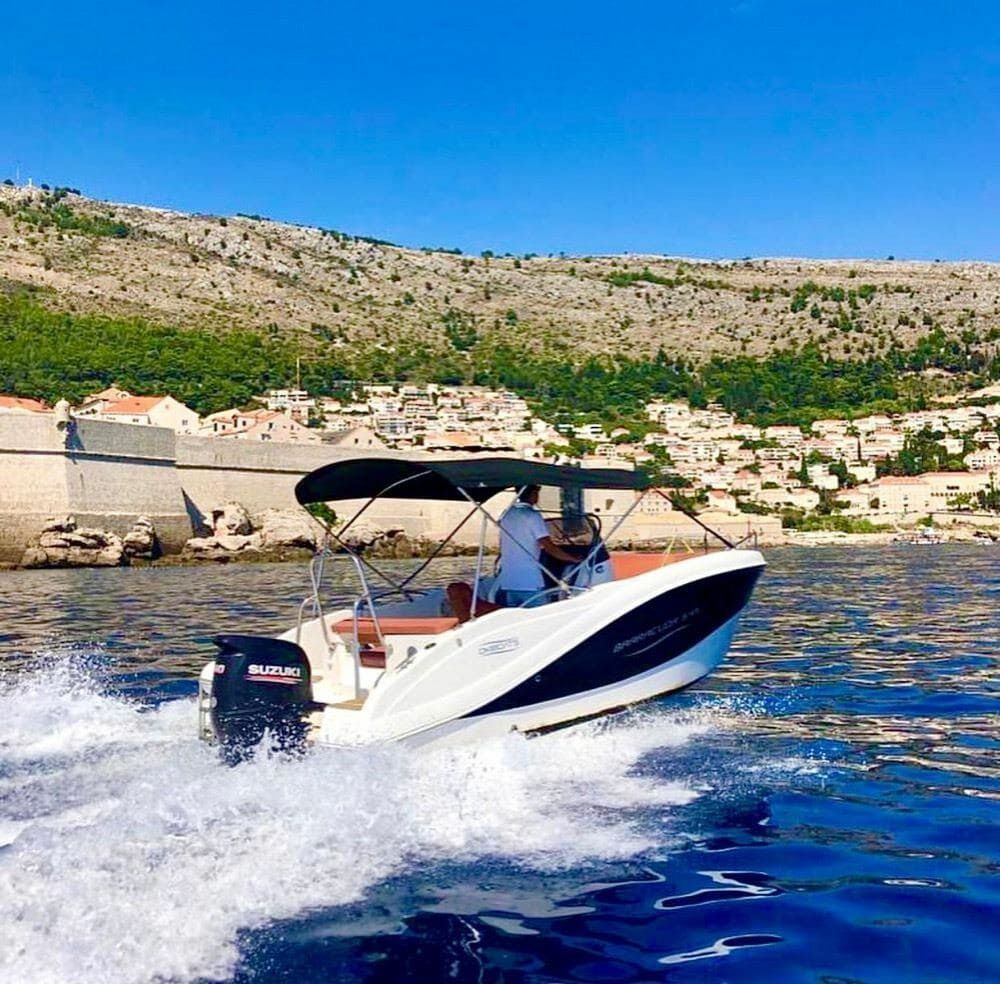 Barracuda 545 | Penelope