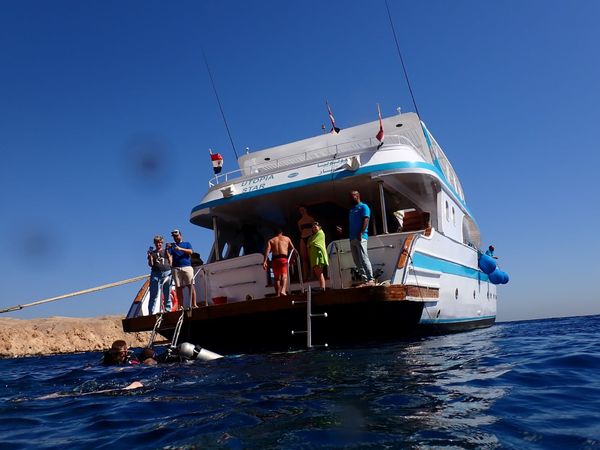 Custom Built 43 | Utopia Star