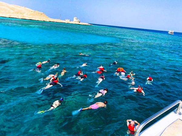 Custom Built 43 | Utopia Star