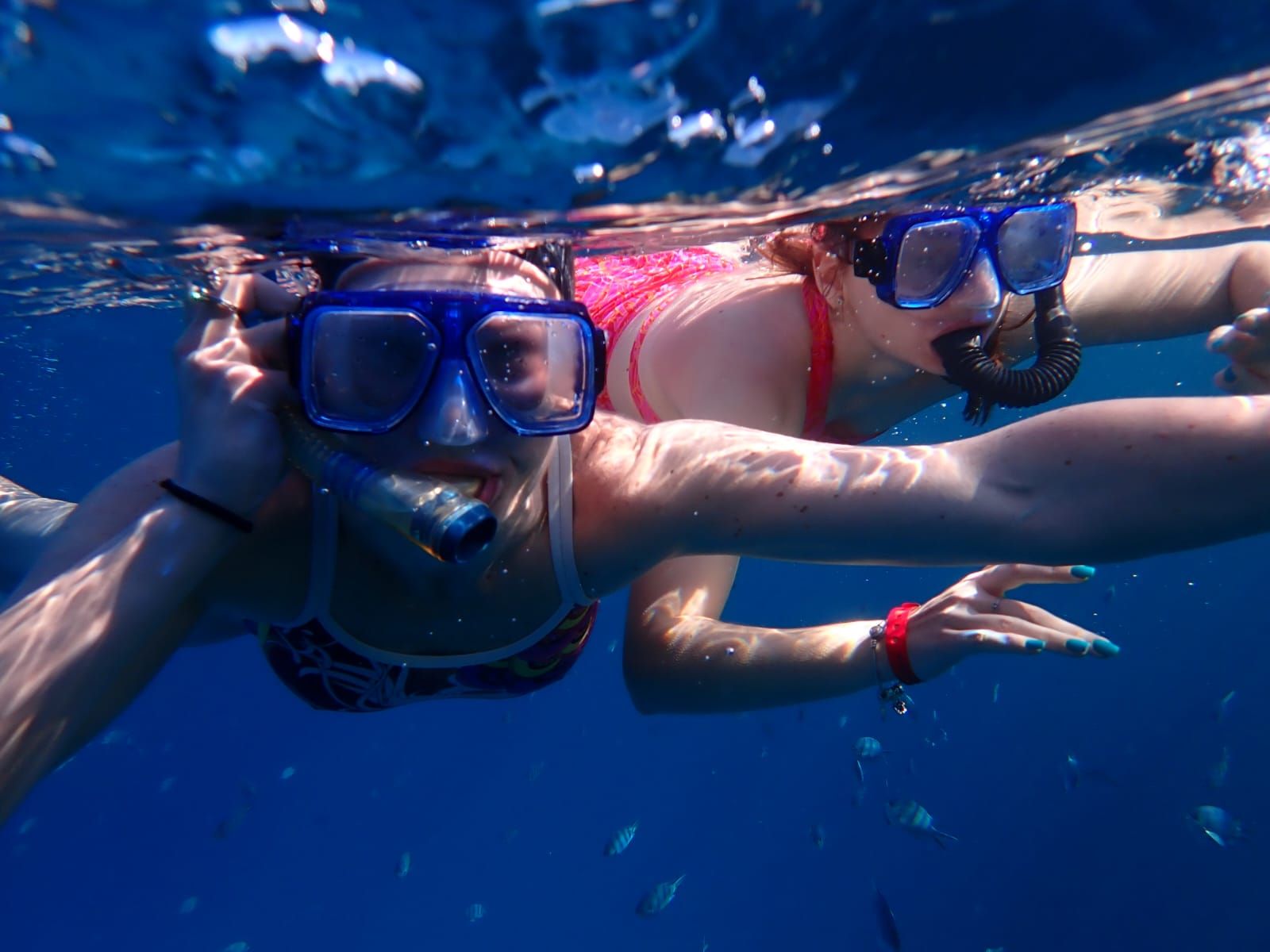 Custom Built 43 | Utopia Star