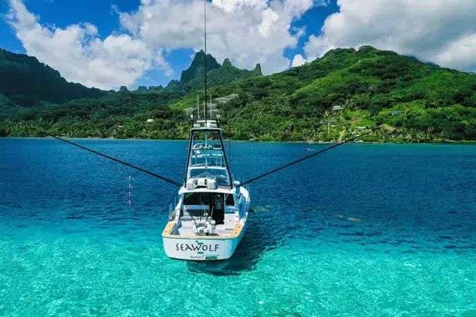 SeaWolf 49 | SeaWolf