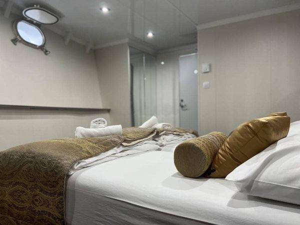 Custom Built 167 | Premier