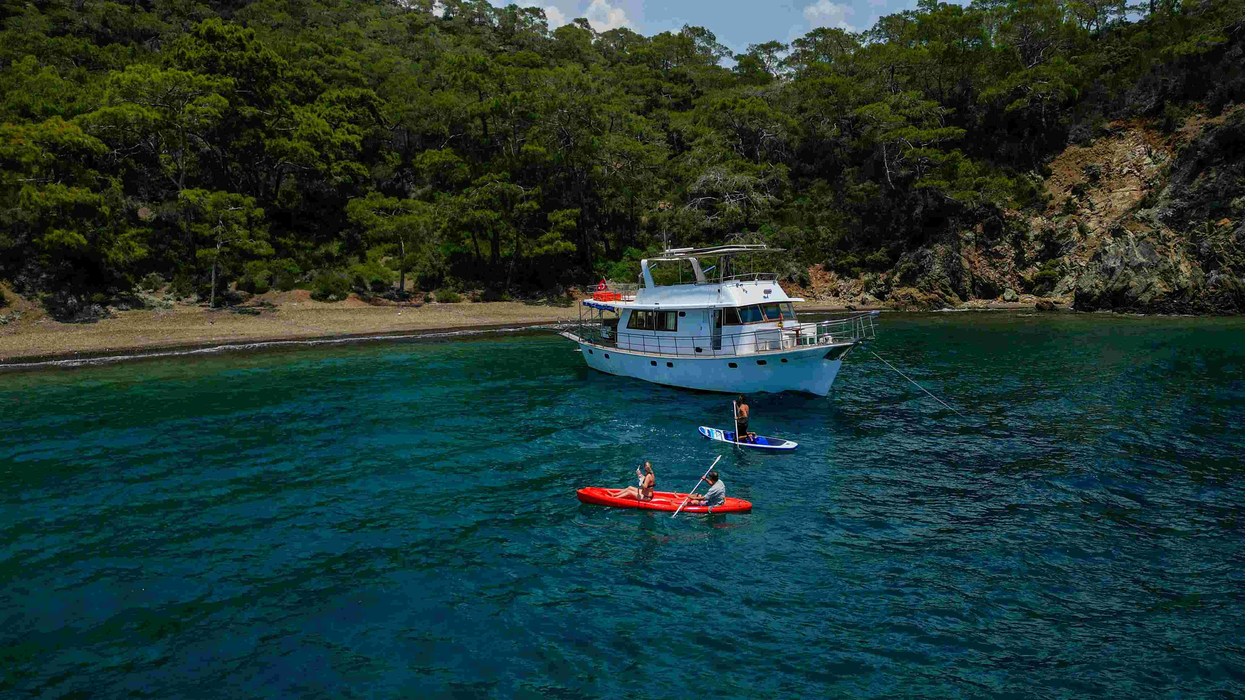 Custom Built 49 | Mhaol