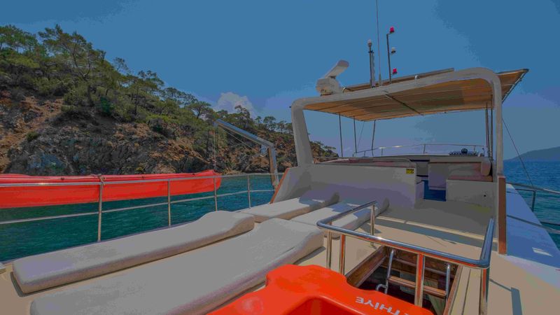 Custom Built 49 | Mhaol