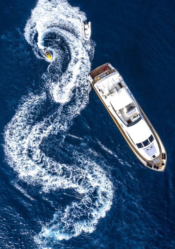 Falcon 86 | Lady Maureen