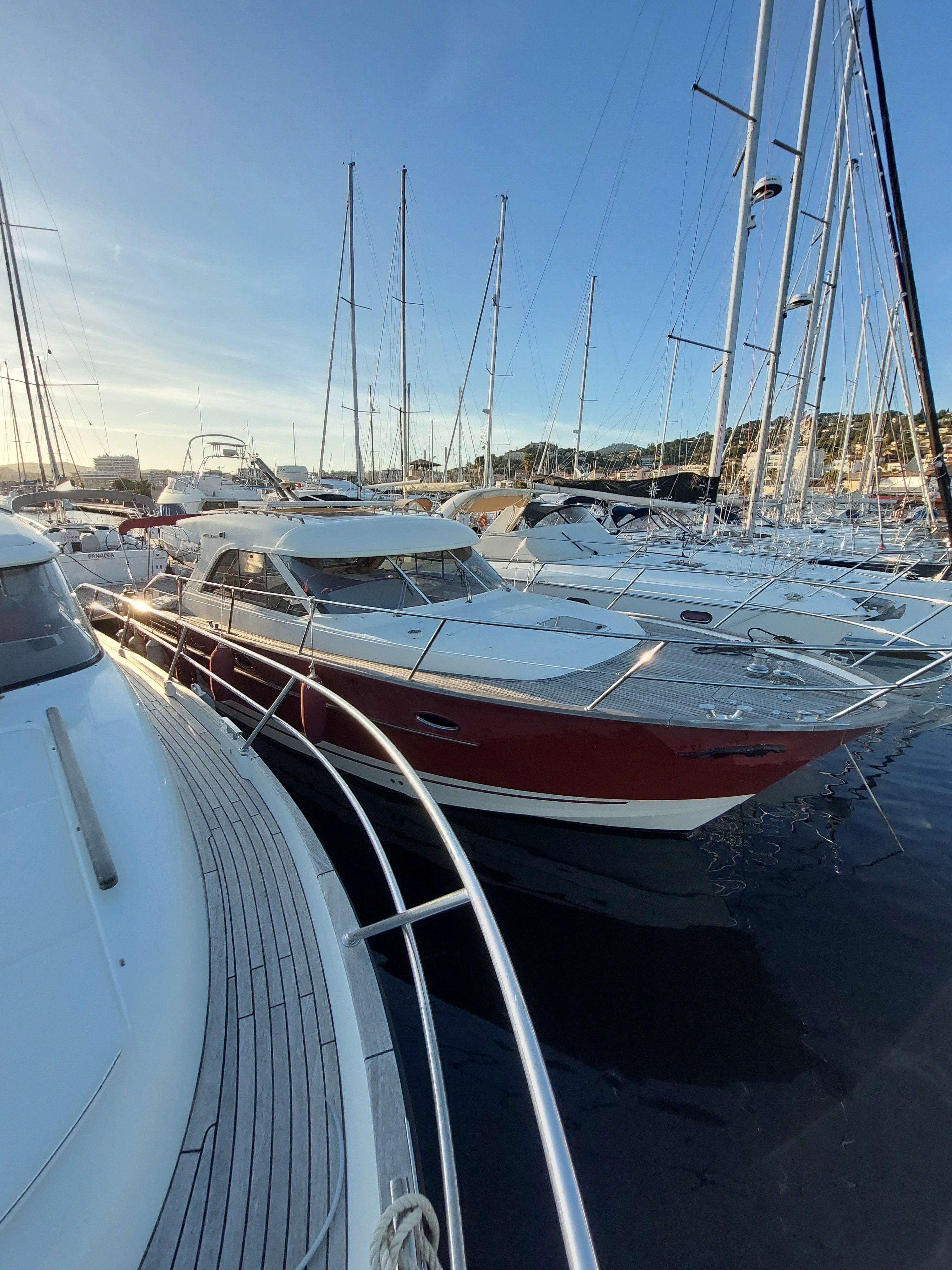 Arcoa Mystic 39 | Bebovo
