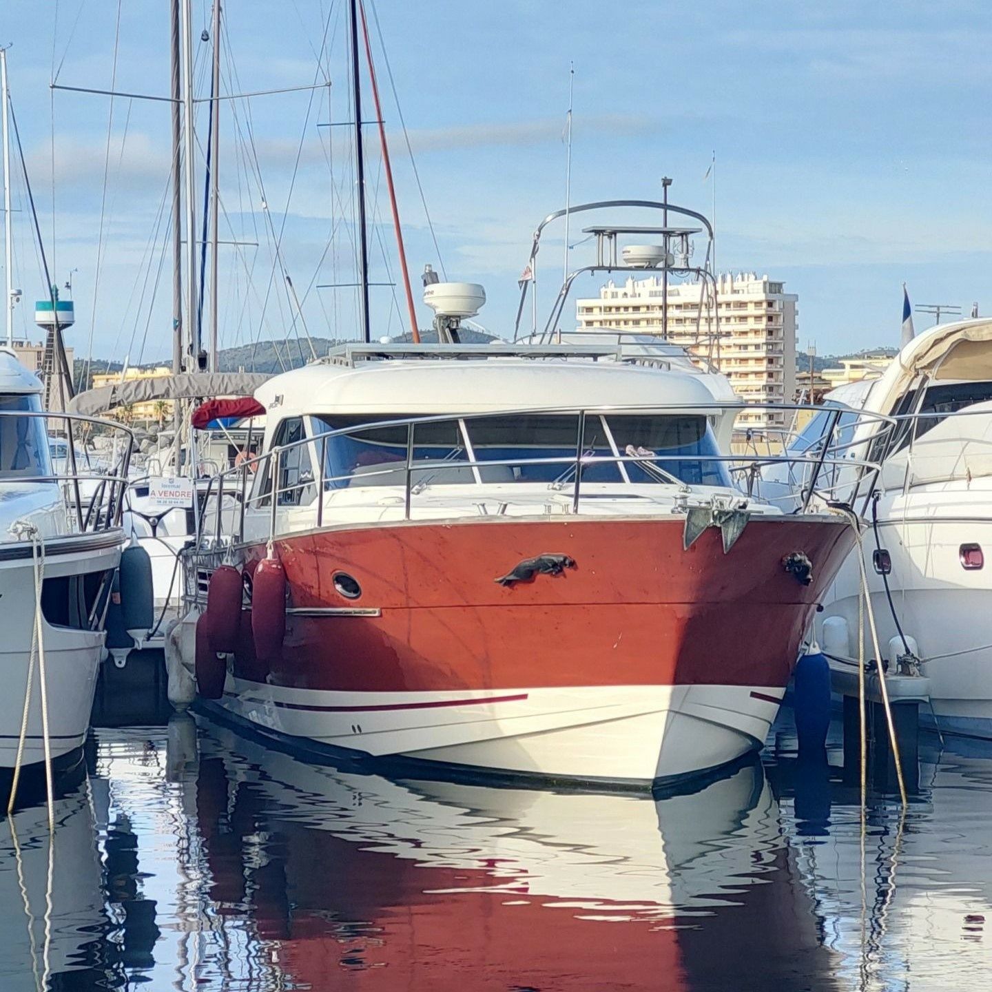 Arcoa Mystic 39 | Bebovo