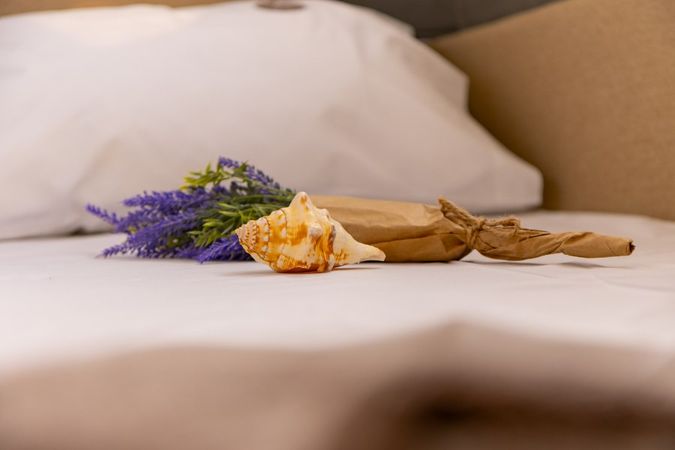 Axopar 37 XC | Character