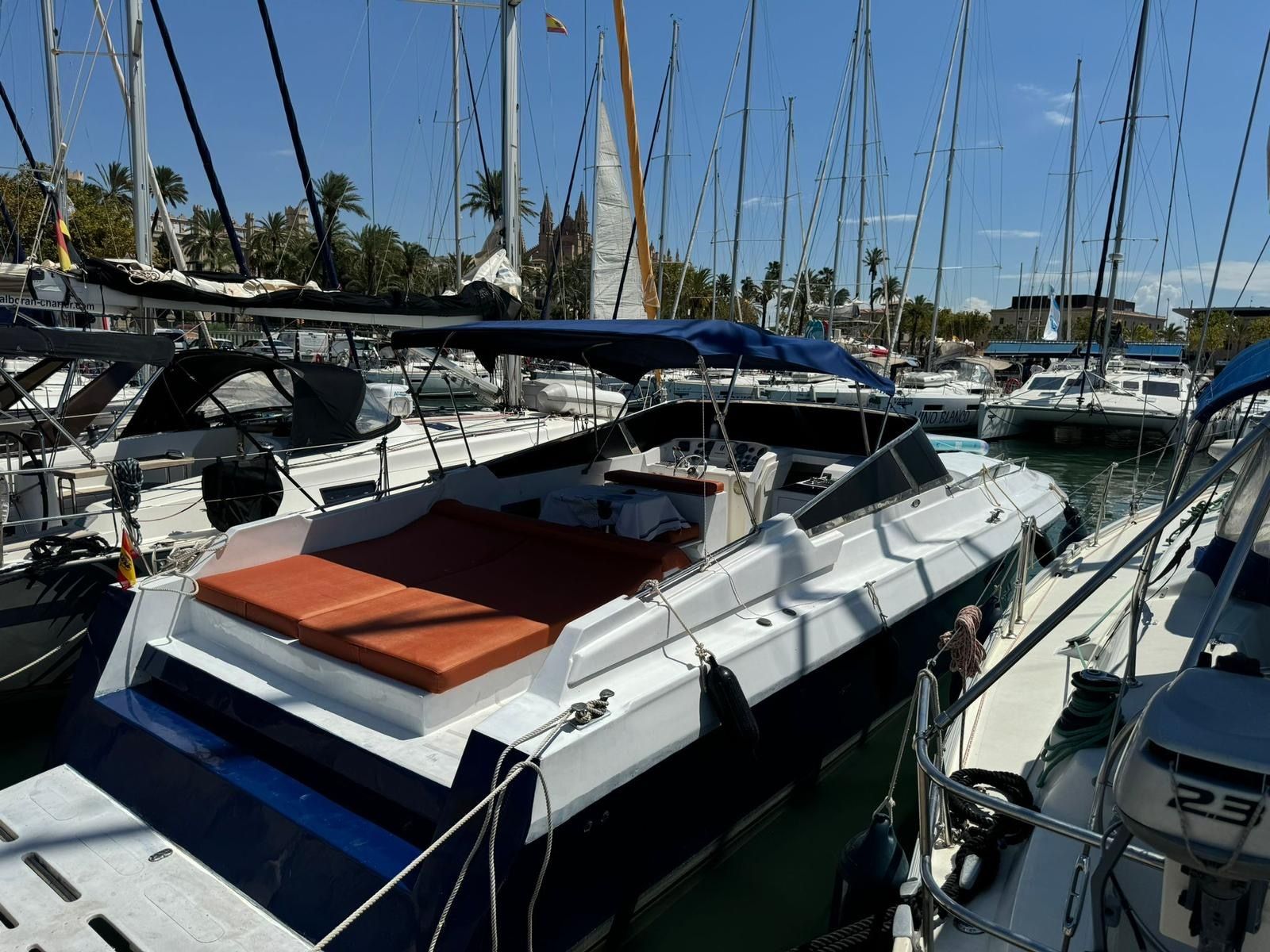 Bruno Abbate 42 | Vera