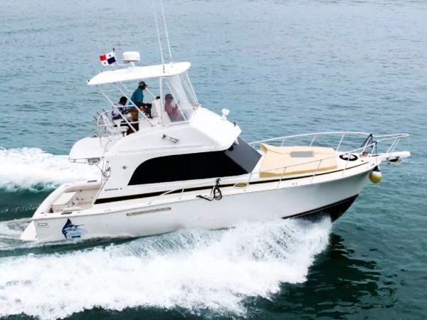 Bertram 35 | Blue Chip