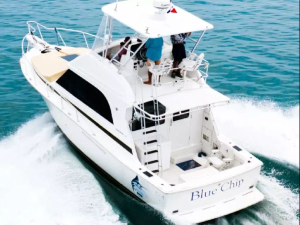 Bertram 35 | Blue Chip