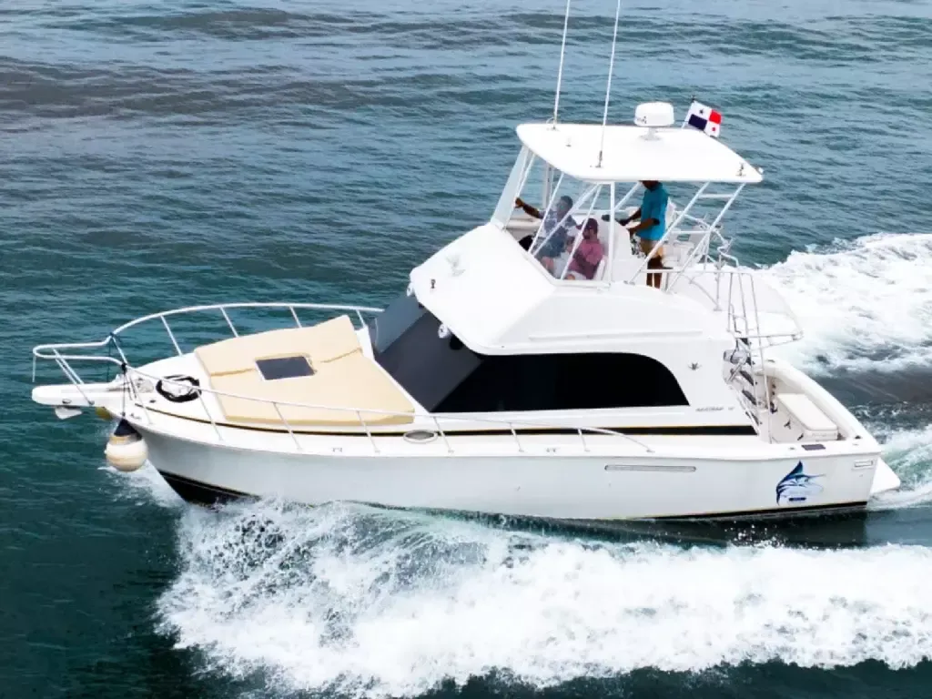 Bertram 35 | Blue Chip