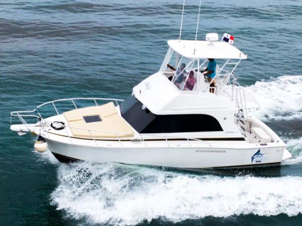 Bertram 35 | Blue Chip