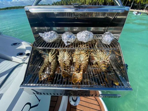 Sunseeker Superhawk 48 | Black Alchemy