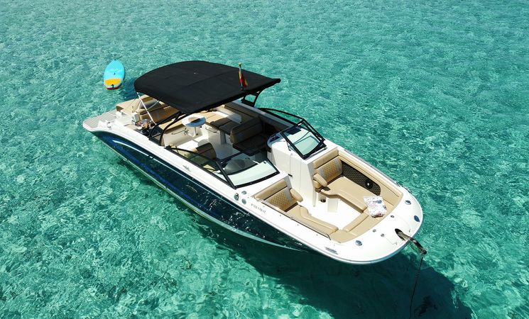 Sea Ray 290 | La Bomba