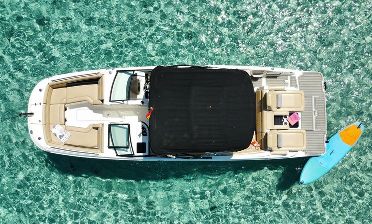 Sea Ray 290 | La Bomba