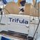 Dufour 455 GL | Trifula