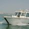 Seamaster 41 | Star