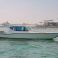 Seamaster 41 | Star