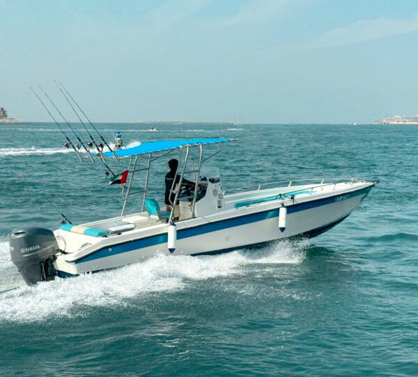 Custom Built 32 | Blue Fin