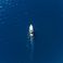 Enzo 35 | Golden Line 1