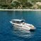 Enzo 35 | Golden Line 1
