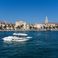 Enzo 35 | Golden Line 1