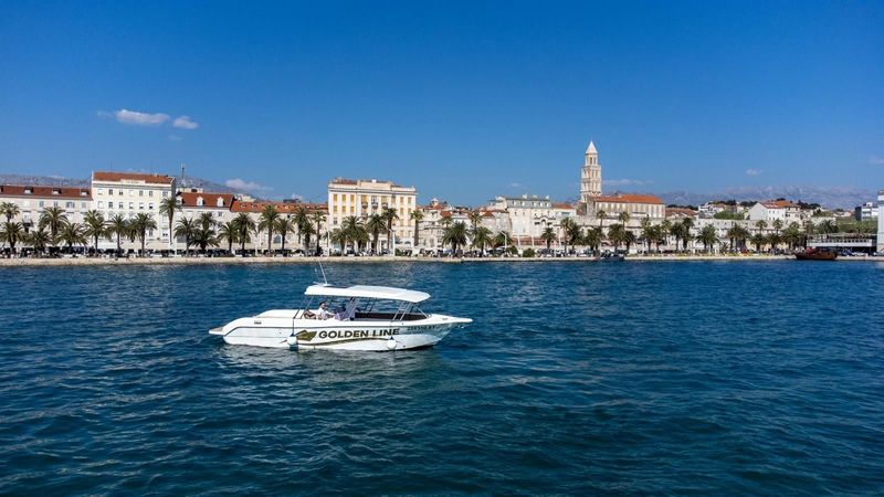 Enzo 35 | Golden Line 1