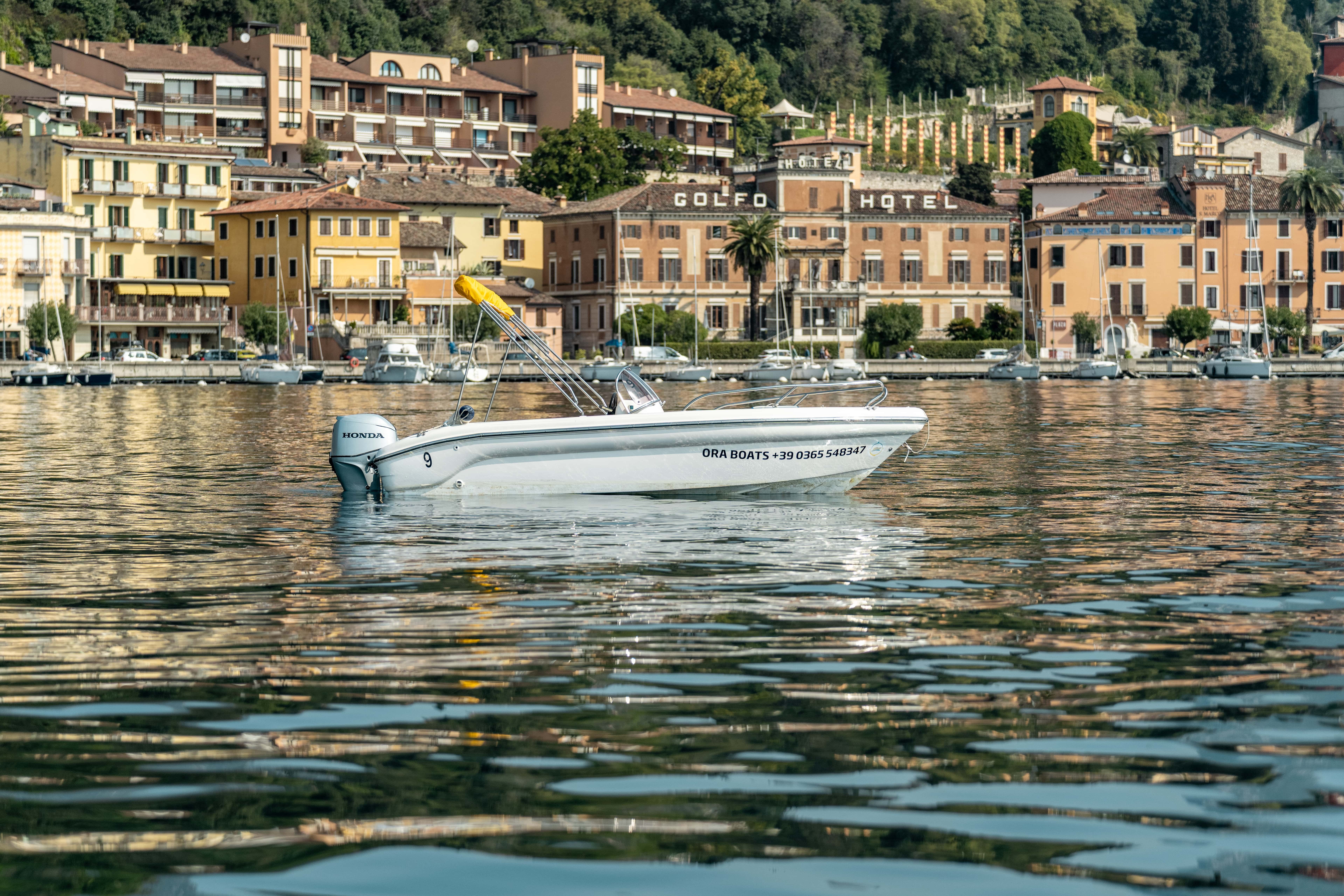 Ranieri 17 | Shark Due