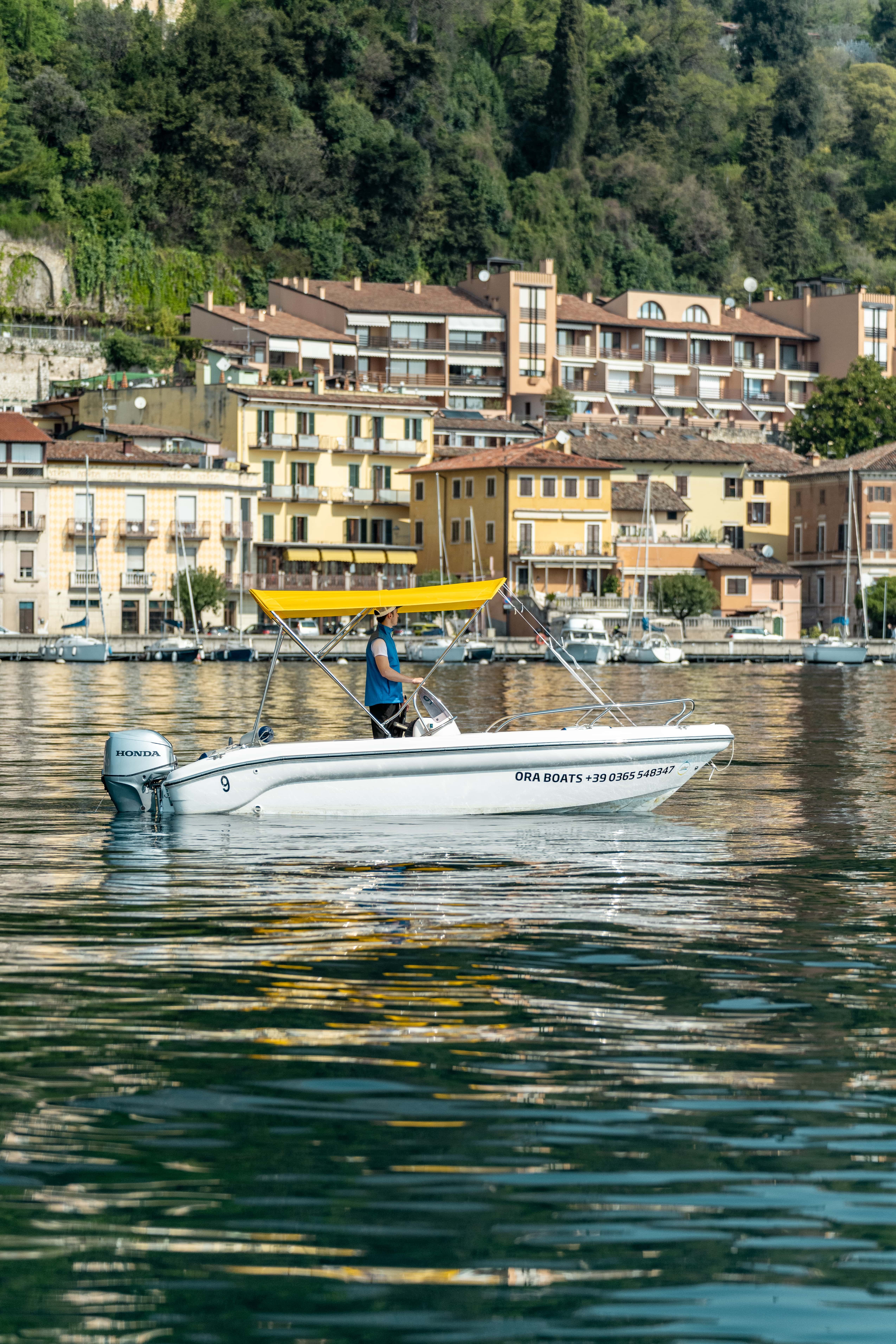 Ranieri 17 | Shark Due