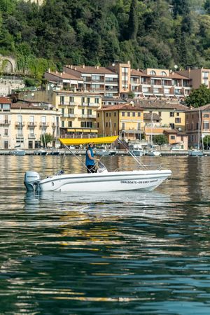 Ranieri 17 | Shark Due