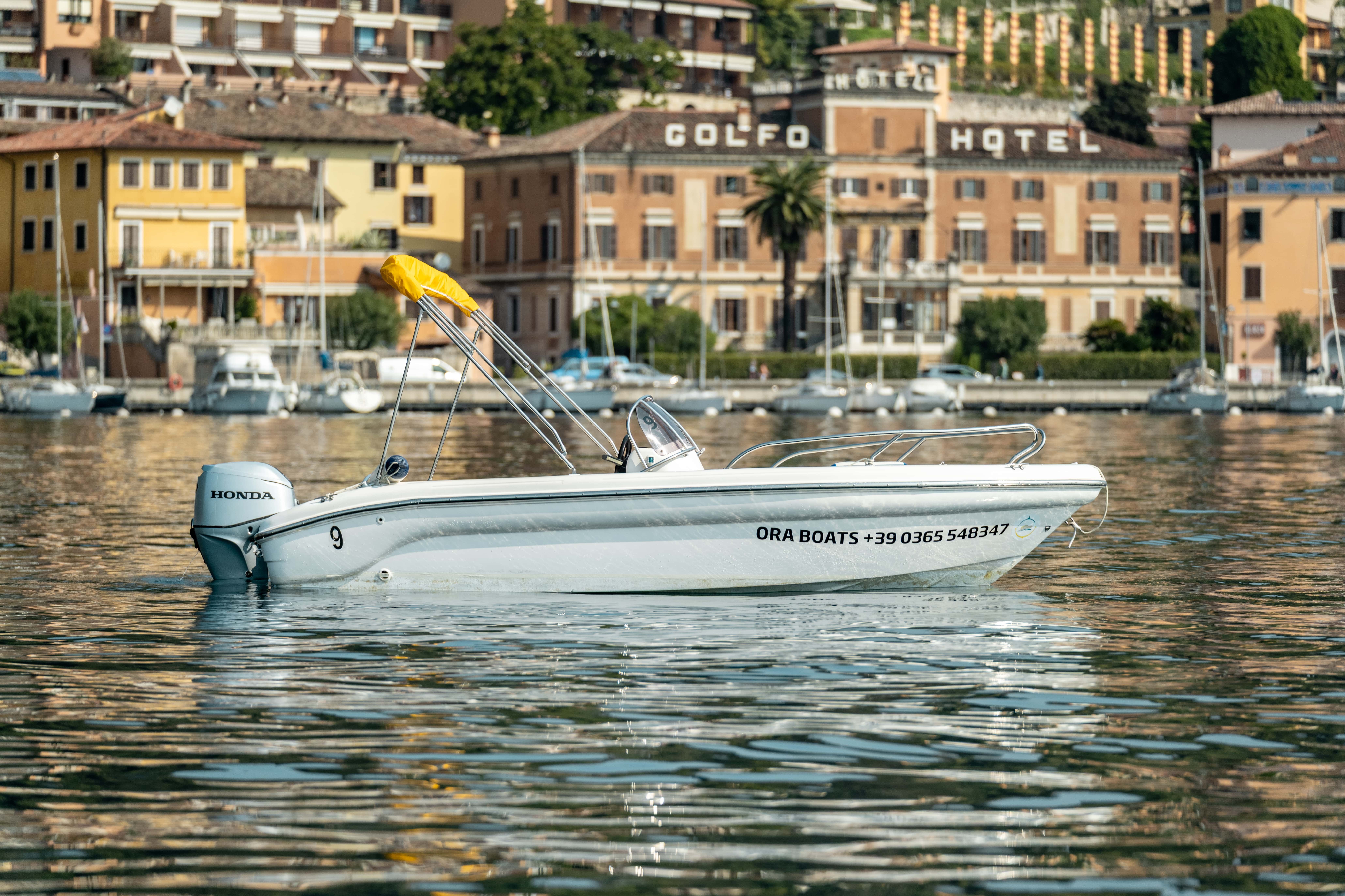 Ranieri 17 | Shark Due