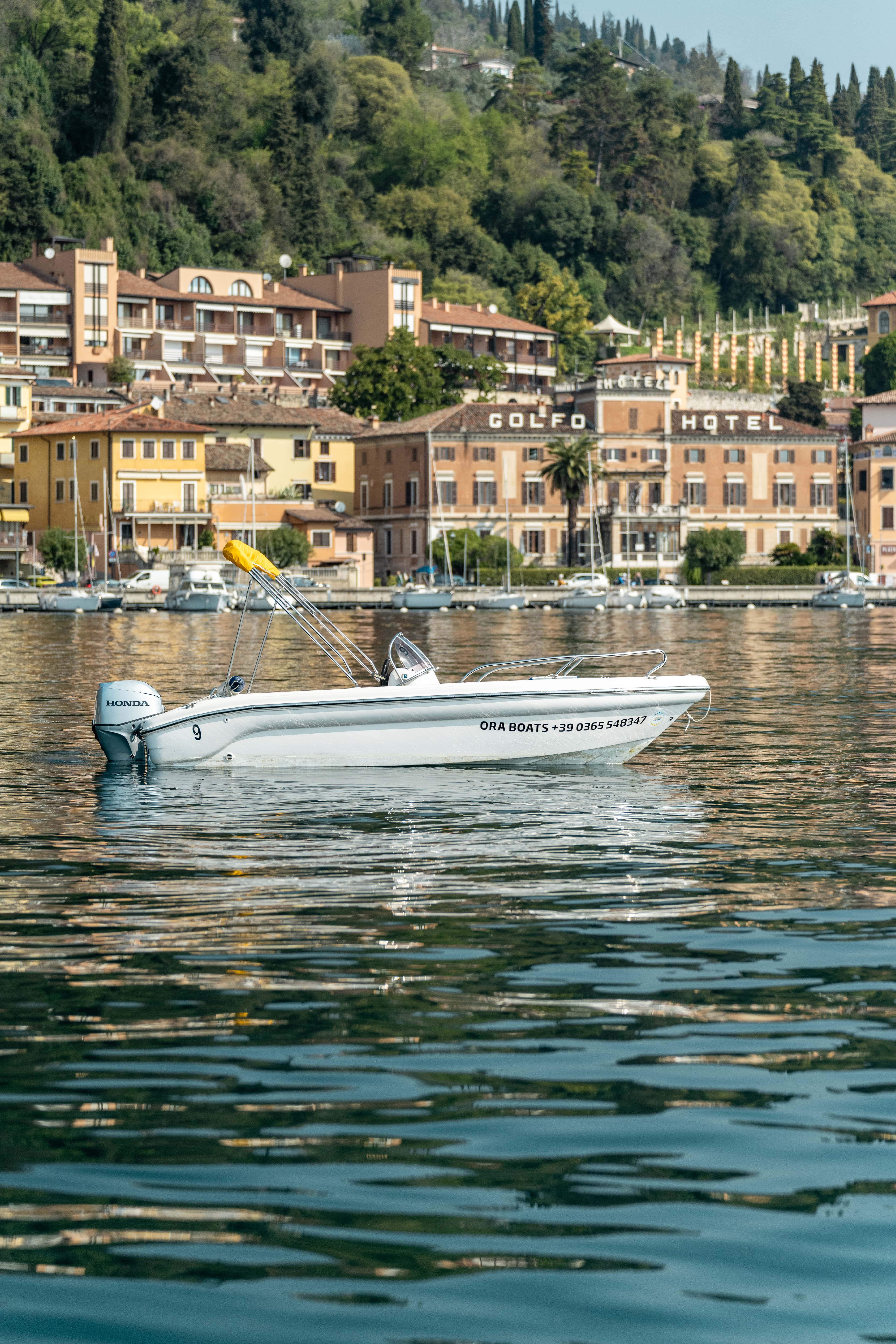 Ranieri 17 | Shark Due