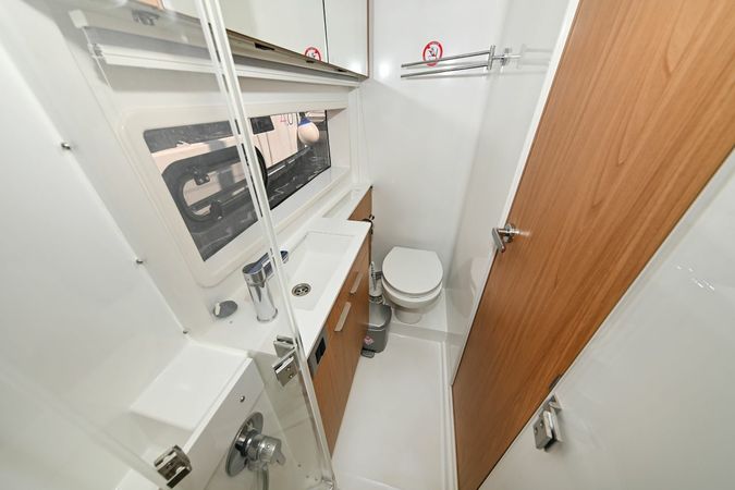 Bali Catsmart | Rose Sunset 5