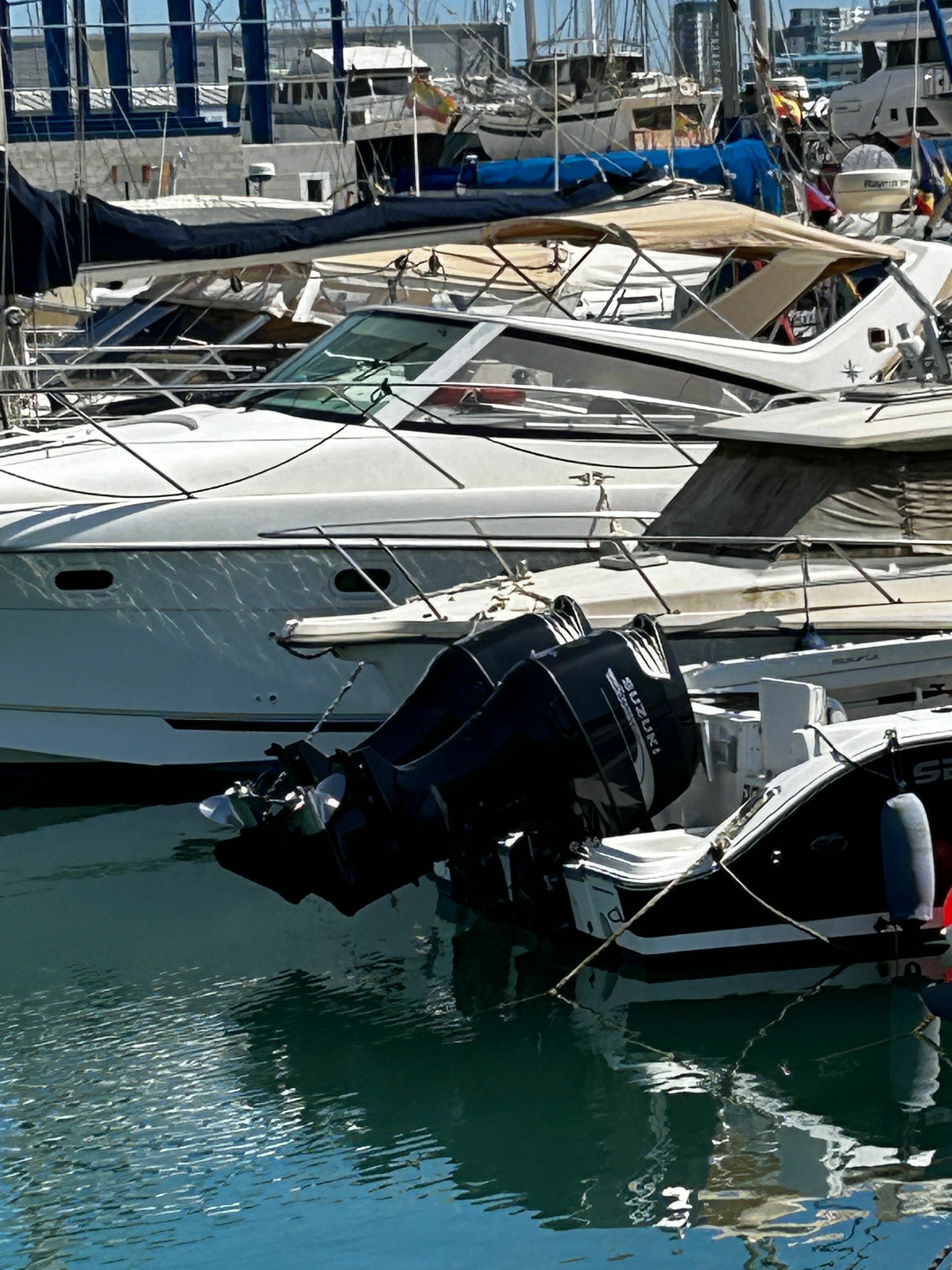 Sea Fox 256 | Polaco