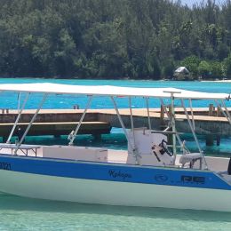 Custom Built 30 | Kokopu